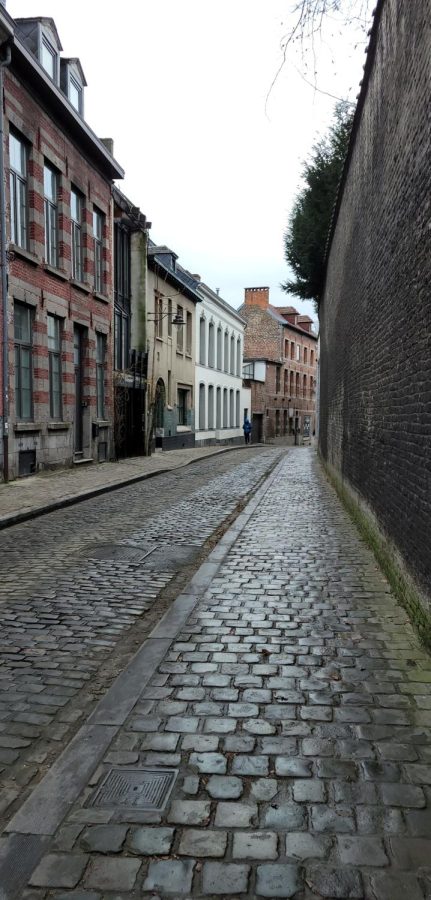 A+rainy+street+in+Mons+Belgium+just+begging+to+be+enjoyed+by+tourists+on+a+stroll.+%0AEurope+is+such+an+breathtaking+continent.+The+different+cultures+and+countries+all+in+one+place+is+truly+amazing.+All+European+countries+are+different%2C+yet+somewhat+similar.+So+if+you+are+traveling+across+Europe+and+going+through+different+countries%3A+It+is+important+to+keep+in+mind+that+while+you%E2%80%99re+still+on+the+same+continent%2C+you+are+not+in+the+same+country.%C2%A0%0A%0AWhat+I+mean+by+this+is+that+all+of+these+countries%2C+or+at+least+most+of+them%2C+speak+different+languages.+They+have+other+differences%2C+but+this+is+one+of+the+most+important+to+remember.+So%2C+if+you+were+to+start+your+trip+in+France%2C+and+travel+to+Germany+and+then+maybe+to+Italy%2C+you+have+to+be+prepared+for+the+switch+in+language.+