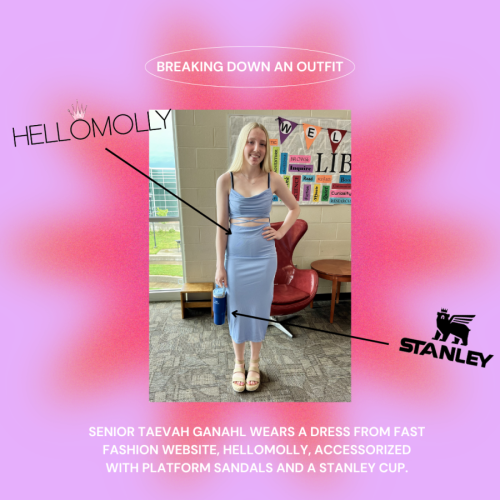 2024 AHS graduate Taevah Ganahl wears a dress from HelloMolly, a fast fashion website, and carries her Stanley tumbler cup. 
Infographic made by Josie Babcock using Canva
