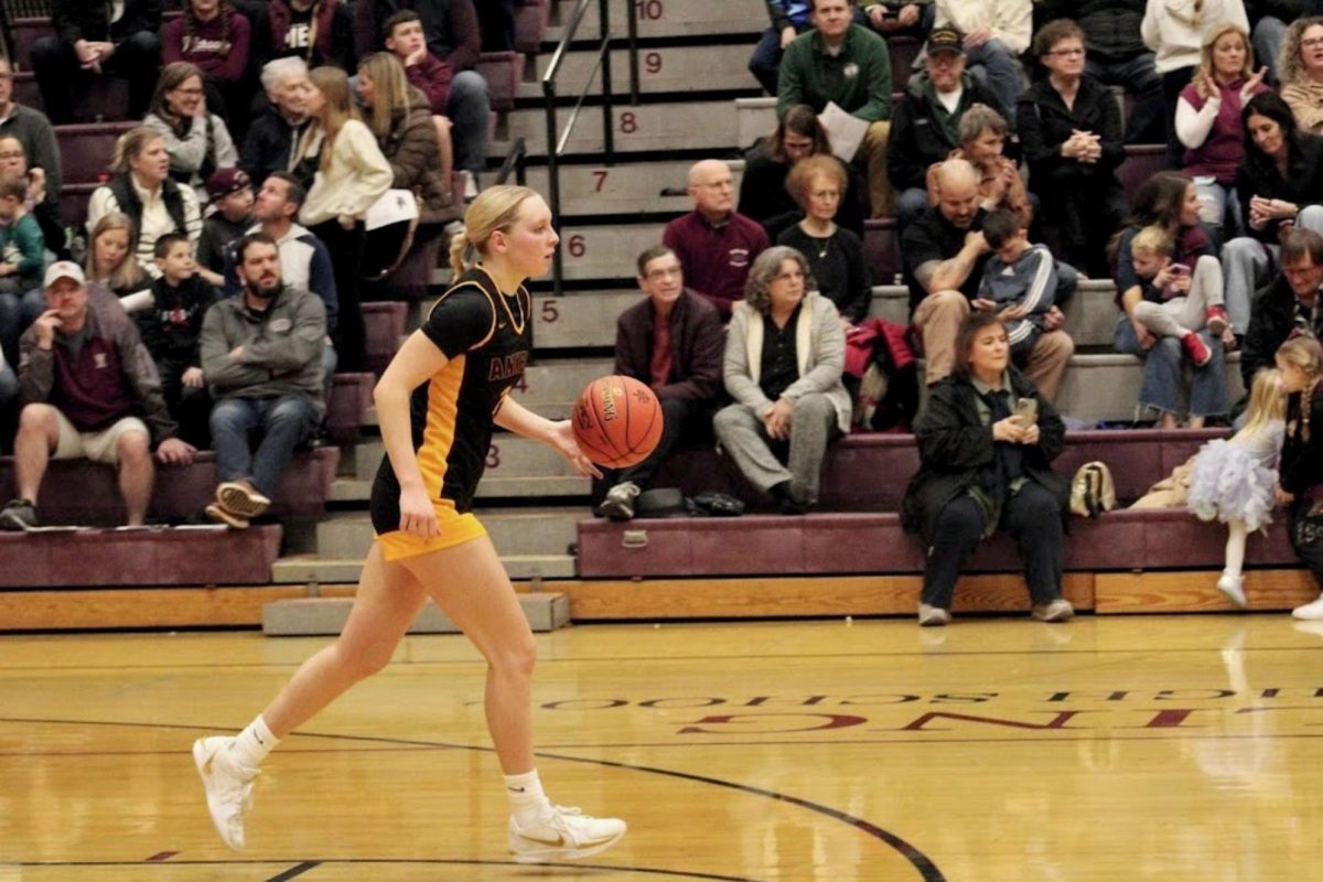 The Hawkettes took on #2 Dowling Catholic away on Jan. 31.