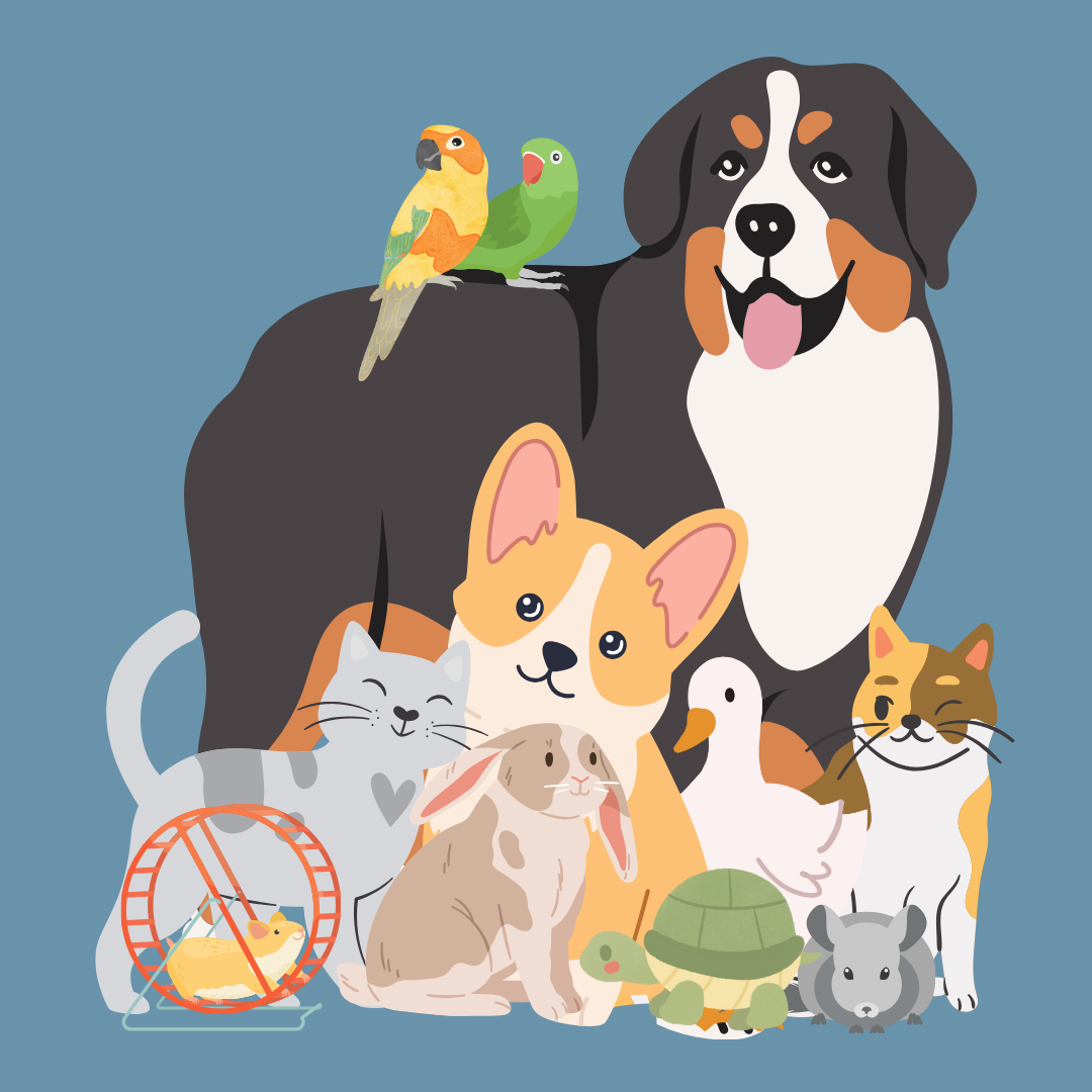 Around 68 percent of American households have a pet, and it has been found that having a pet can decrease cortisol levels and lower blood pressure, according to the National Health Institute. 

Pets are especially important in students' lives because they seemingly help relieve the stressors that school can sometimes bring. Image created by Sylvia Bartlett using Canva
