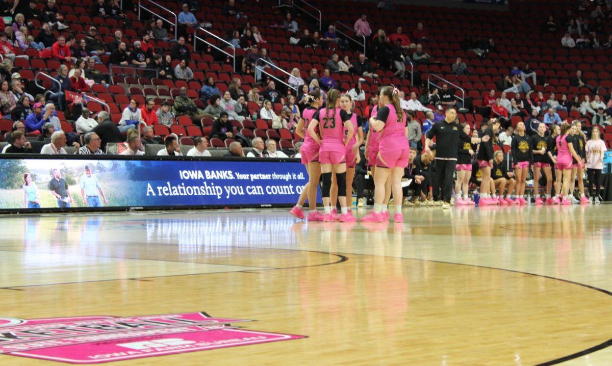 Ankeny Hawkettes stand by the center court at the girls' state tournament in their first round matchup against Cedar Rapids Washington. Ankeny took on Cedar Rapids Washington on March 2nd at 11:45 AM at the Casey’s Center in Des Moines, Iowa. 