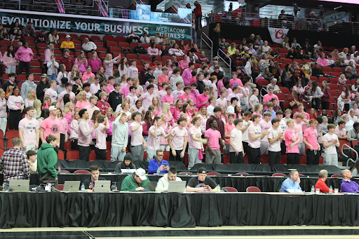 Fans, watch the state tournament while wearing pink to support the Hawkettes. The girls' basketball team hasn’t been to the state tournament since before Ankeny and Ankeny Centennial split into two schools 13 years ago. Photo by Isaiah Pine.