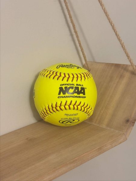 The NCAA is the breeding ground for professional softball. Photo by Lily Black.